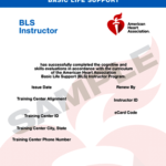 CPR Certification in Houston icon certification